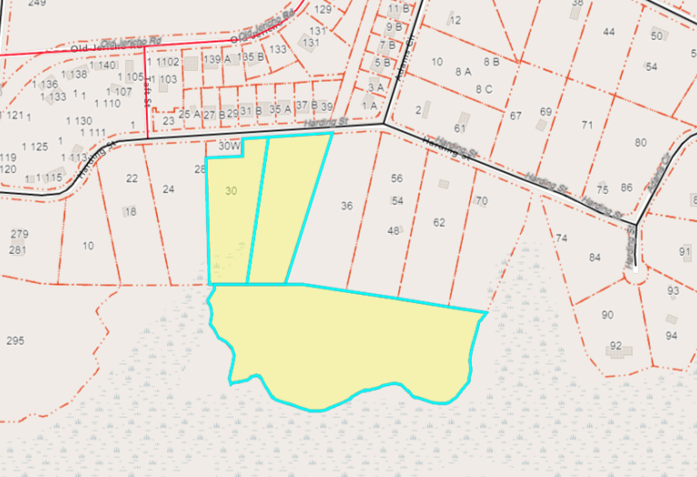 14 Acre Lot For Sale on Waterfront in Beaufort, SC Southern Pines