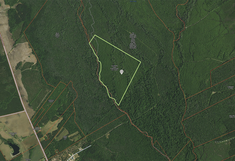 125 acres for sale in Colleton, SC Southern Pines Plantations